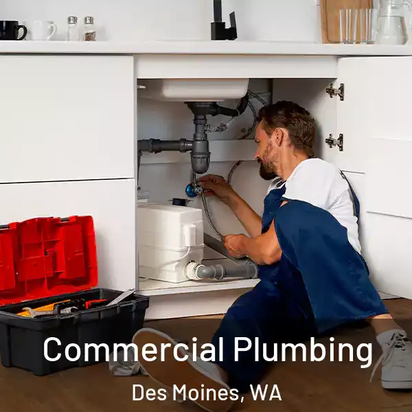  Commercial Plumbing Des Moines, WA