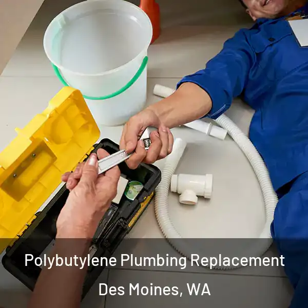  Polybutylene Plumbing Replacement Des Moines, WA