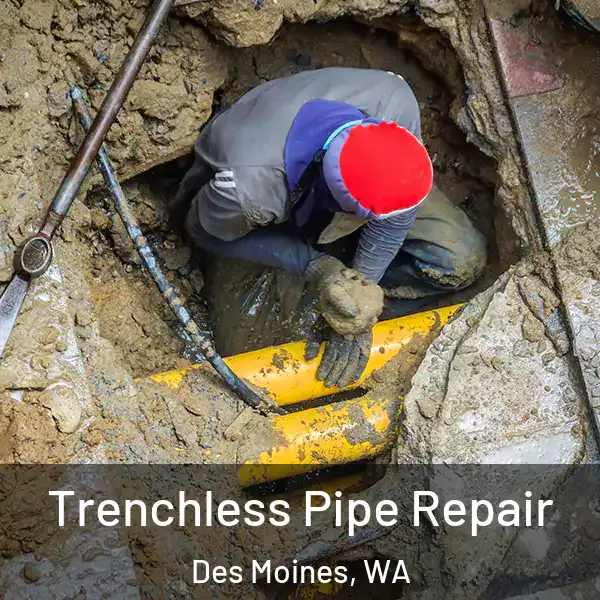  Trenchless Pipe Repair Des Moines, WA