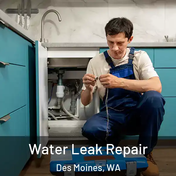  Water Leak Repair Des Moines, WA
